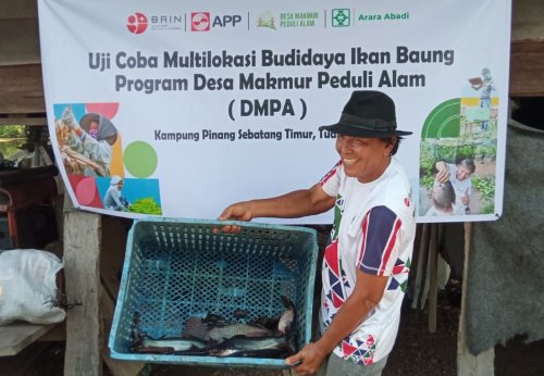 Alex Sapirman, mitra DMPA PT Arara Abadi-APP Group yang sukses dengan budidaya ikan.(foto: barkah/halloriau.com)