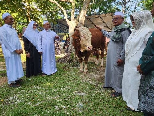 Sekda Dumai, Fahmi Rizal berfoto bersama sapi kurban bantuan Presiden RI Prabowo Subianto bernama Samson sebelum proses penyembelihan di Masjid Paripurna Al Manan, Kota Dumai, Rabu (27/5/2026).(foto: bambang/halloriau.com)